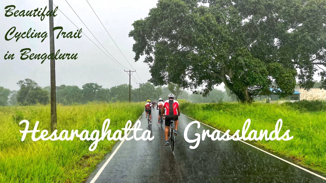 Hesaraghatta Grasslands | Cycling Trails | Bengaluru | Best Cycling Trails | Biking | Bangalore