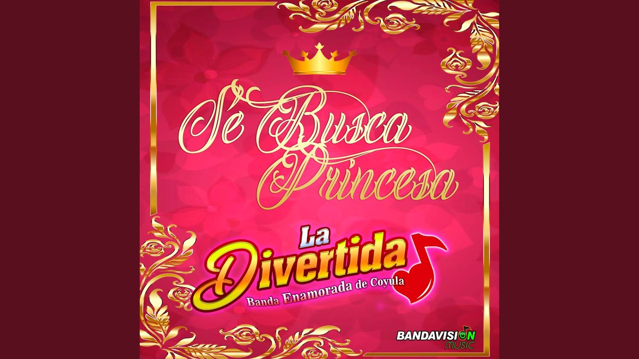 Se Busca Princesa