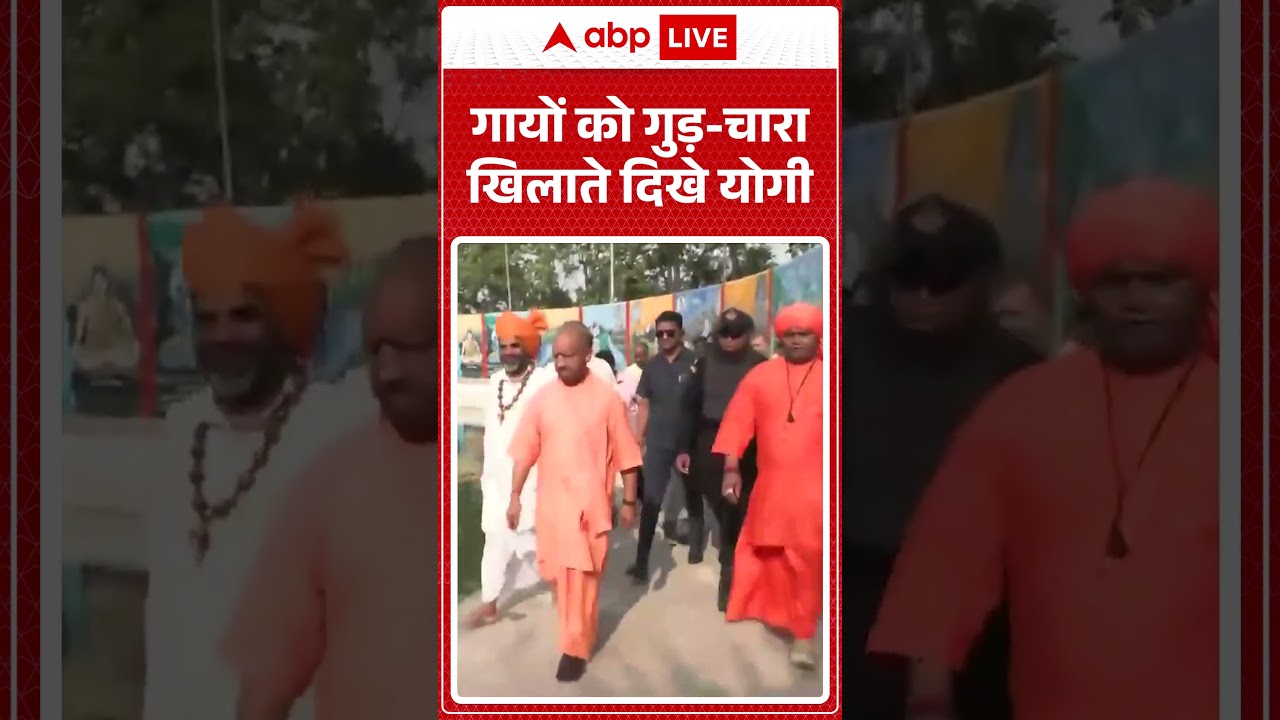 CM Yogi Viral Video : गायों को गुड़ चारा खिलाते दिखे योगी | #ytshorts #trendingshorts #uppolitics