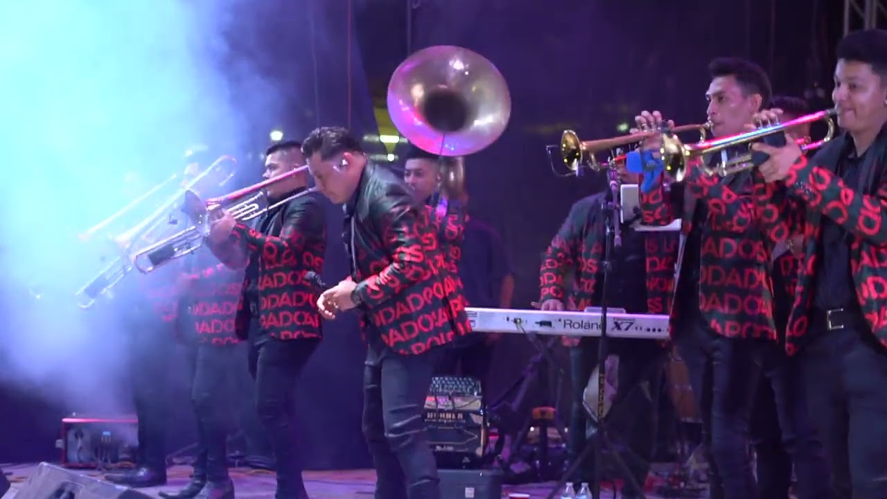 Popurrí de Sones 2025 · Los Apodados en Vivo