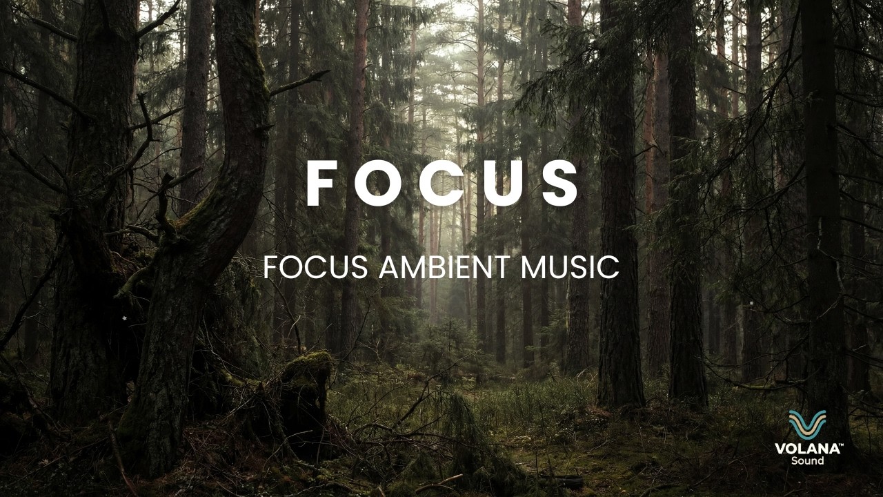 3.75 Hours Focus Music for Work and Study Ambient Soundscape | Volana Sound