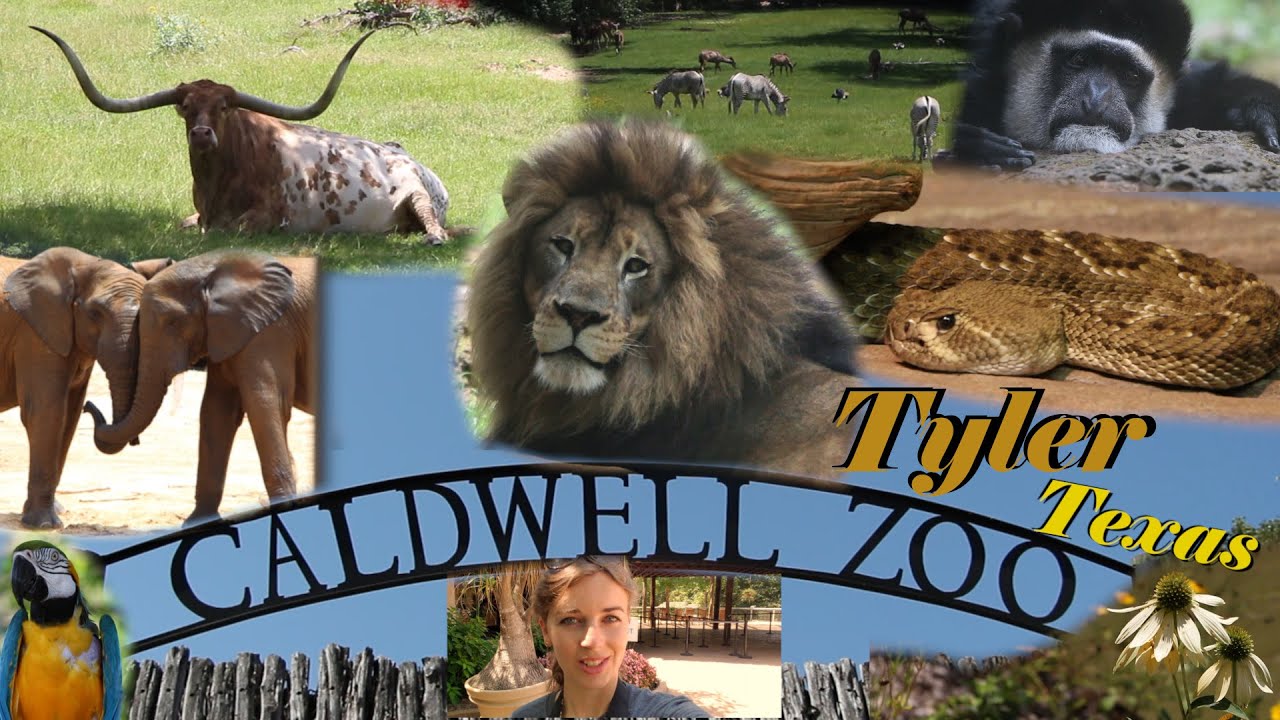 Tour of the Caldwell Zoo, Tyler Texas