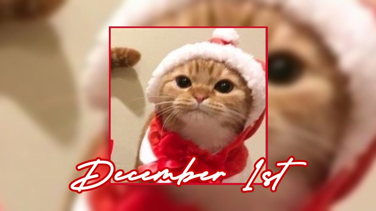 Kenny Kun - December 1st [Copyright Free] No.43