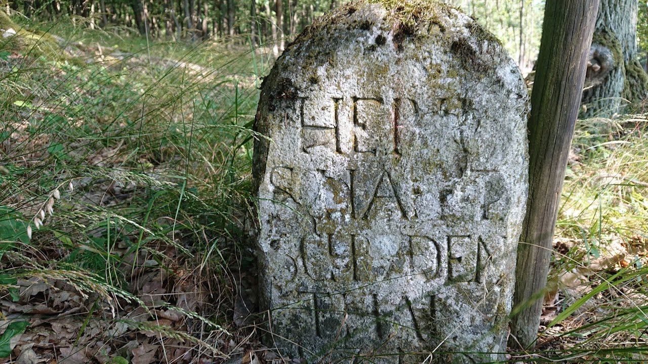 #2 Die Grenzen des Waldviertels (Weitersfeld, Pleissing, 