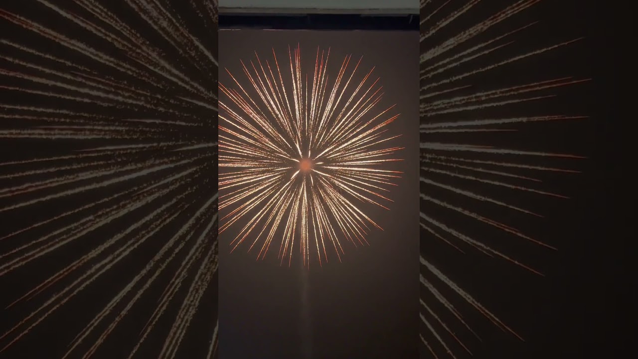 6&rdquo; Inch Shell golden willow! 🔥 #shell #vuurwerk #fireworks