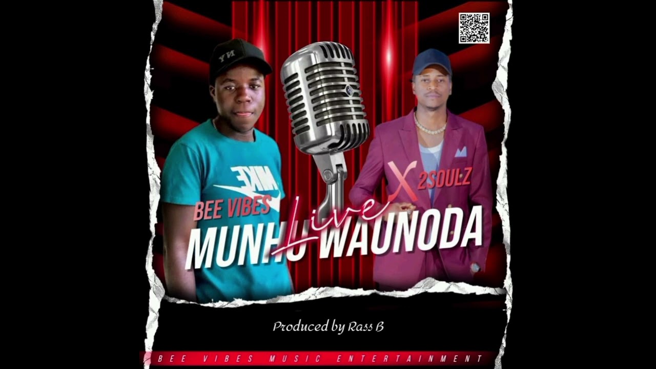 Bee Vibes ft 2Soulz_munhu waunoda (official audìo)