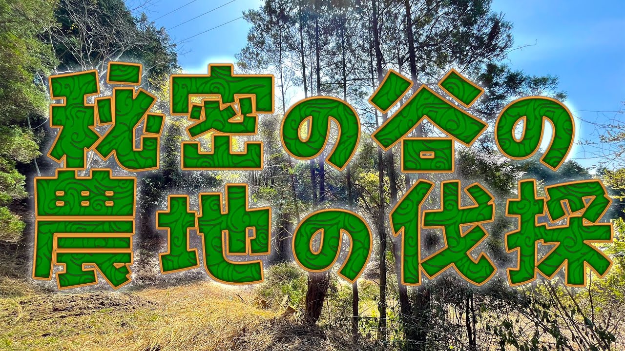 秘密の谷の農地の伐採