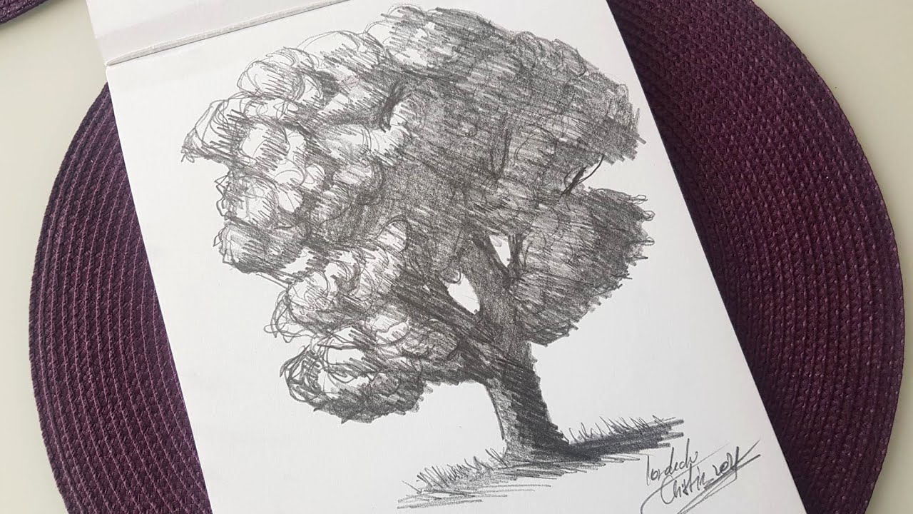 Desen in creion cu copac pe hartie | Pencil drawing with a tree on paper