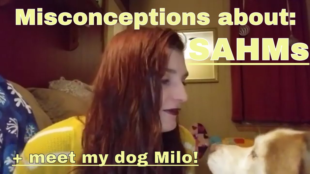 Misconceptions about SAHMs