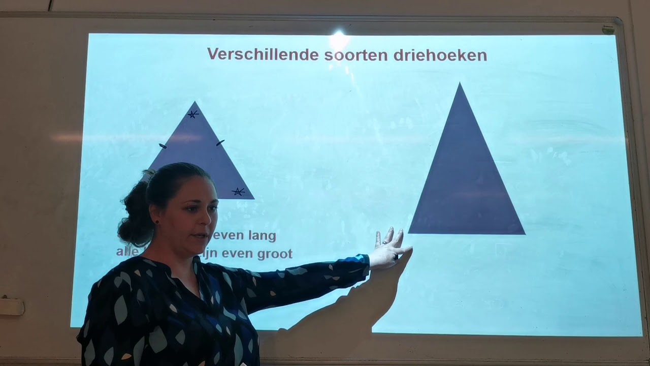 hoofdstuk 10 Symmetrie in vlakke figuren
