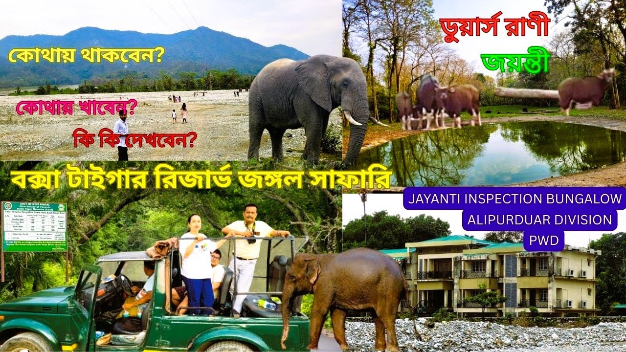 বক্সা টাইগার রিজার্ভ জঙ্গল সাফারি করার অভিজ্ঞতা/জয়ন্তী ভ্রমণ 2025/Rajabhatkhawa Tour /Dooars Tour