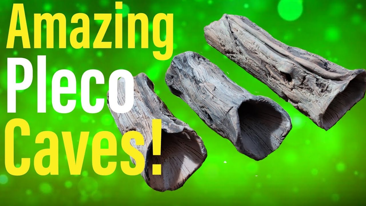 The BEST Pleco Cave EVER!!!