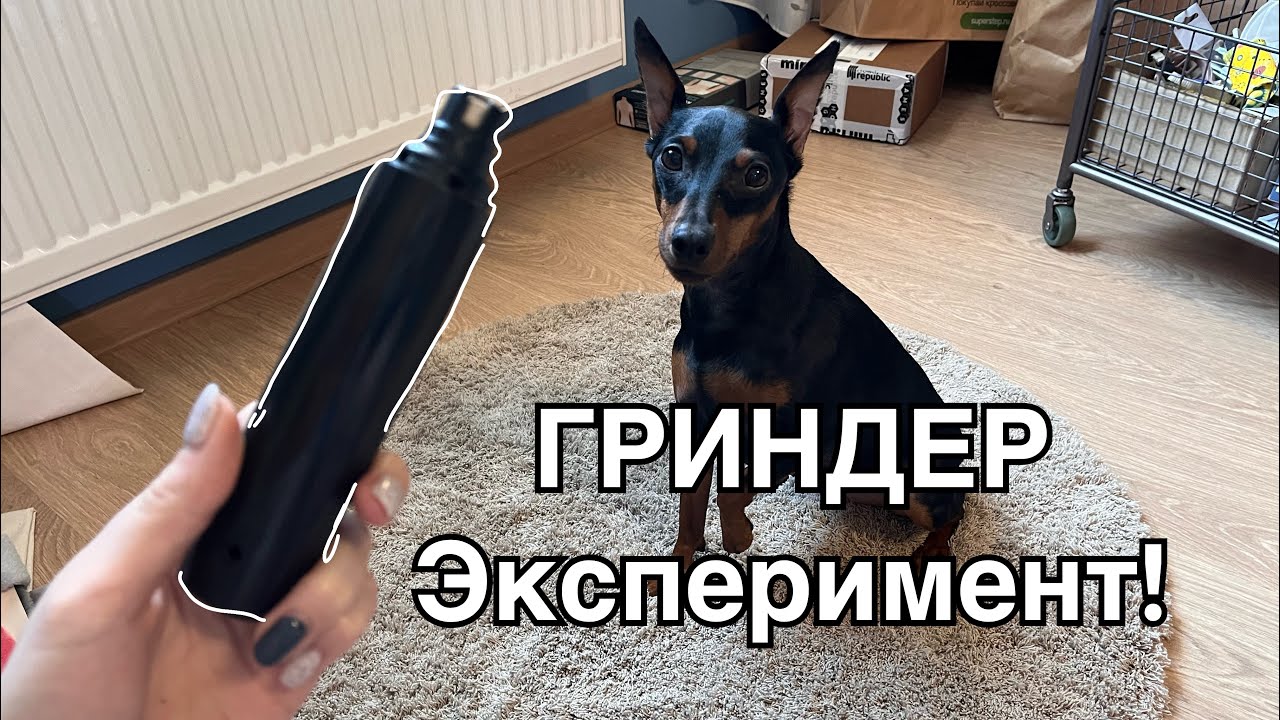 Гриндер - стоит ли покупать? Лучше чем когтерез? Чем заменить гриндер/как быстро постричь когти