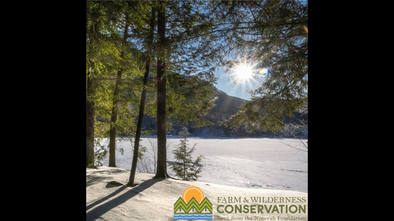 Green Drinks: Farm and Wilderness Conservation