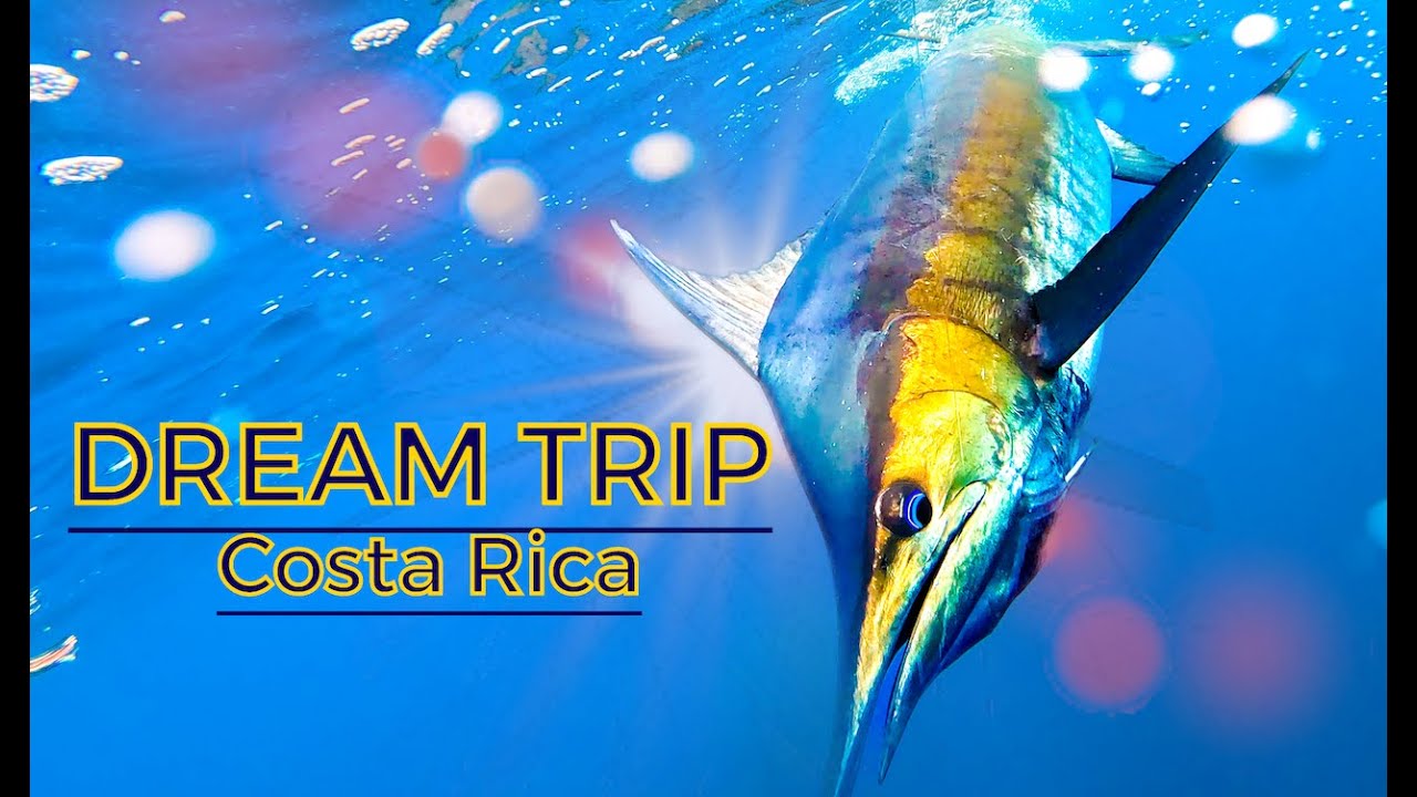 EPIC Fishing for Marlin, Sailfish, TOPWATER Tuna in COSTA RICA! (Catch, Clean, Cook)