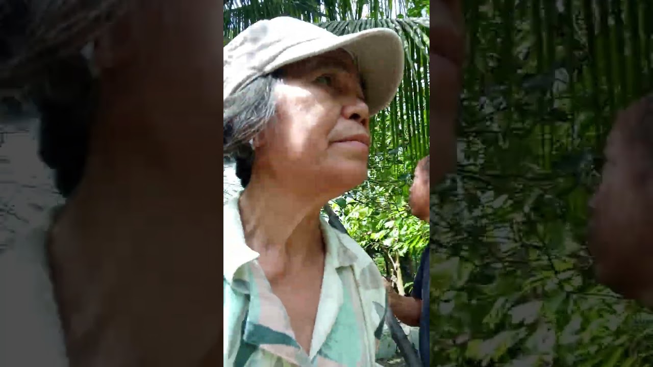 Nag ikot sa kaharian hanap Ng makakain