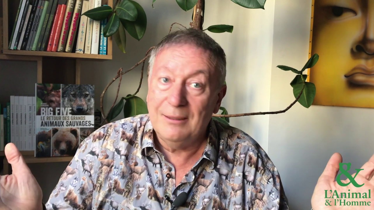 Interview 5 de Marc Giraud : Le pacte des loups et des corbeaux