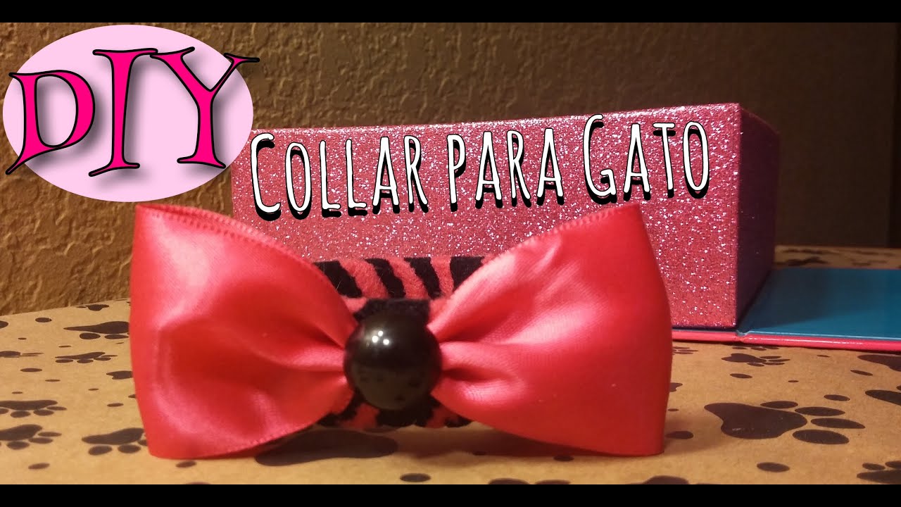 DIY Collar para Gato