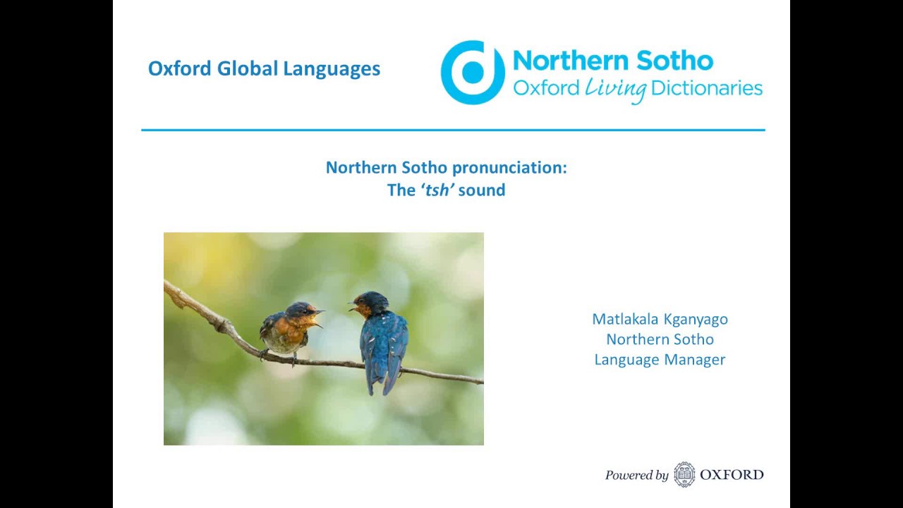 Oxford Northern Sotho dictionary: the 'tsh' sound