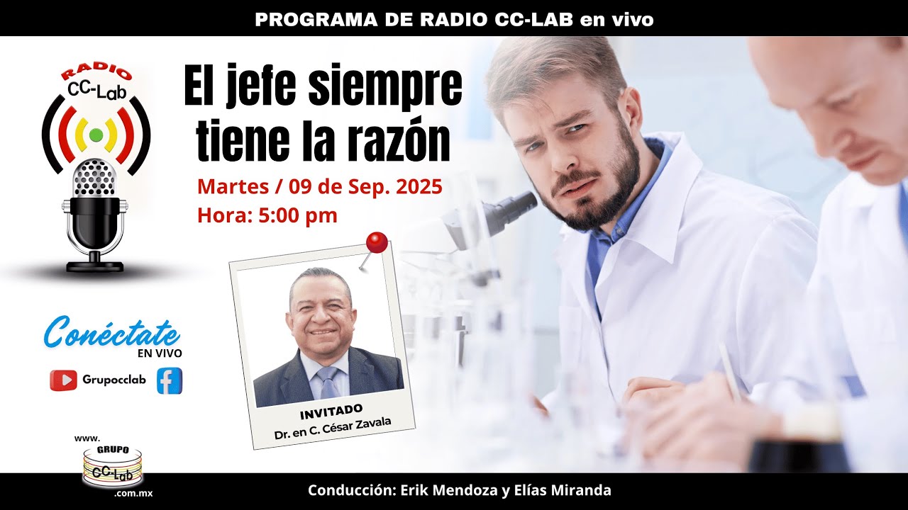El jefe siempre tiene la razón