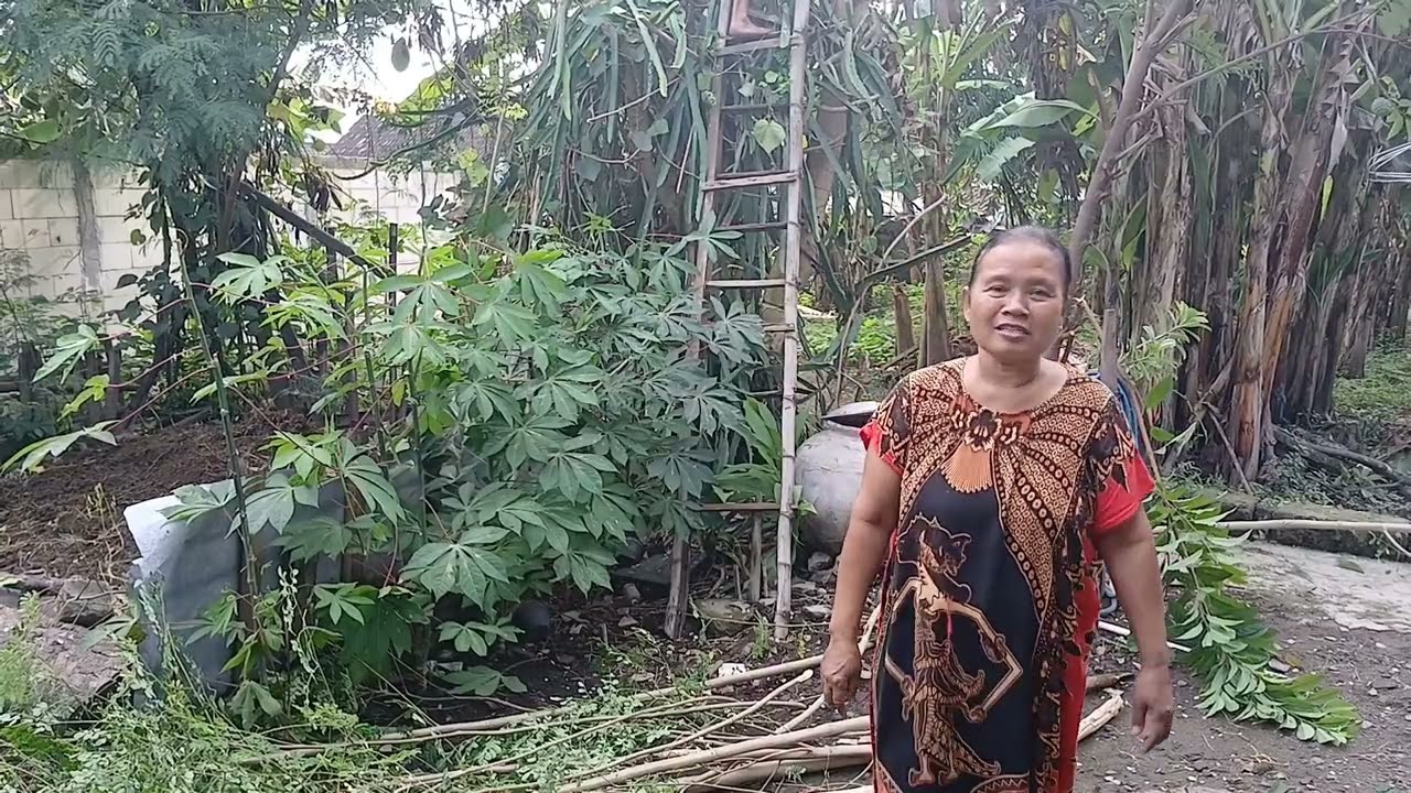 MAK NI RAMBAN DAN TEBANG² POHON BEN HALAMAN E PADANG