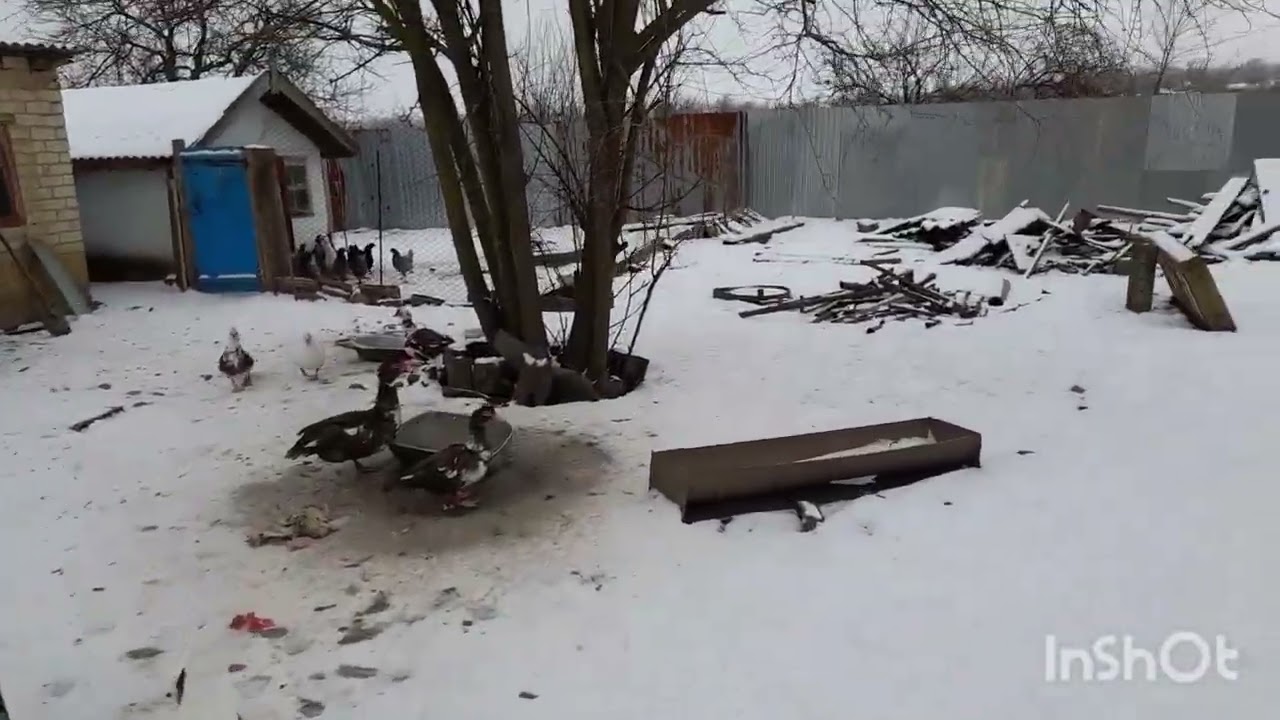 Простая  сельская жизнь/