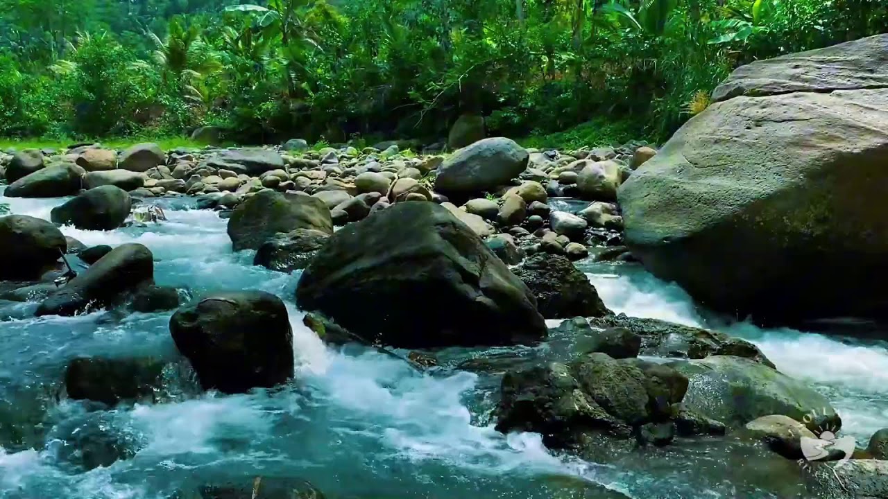 River Sounds & waterfall Sounds for Sleeping | Nature Stream for Relaxing & Stress Relief. #river 2