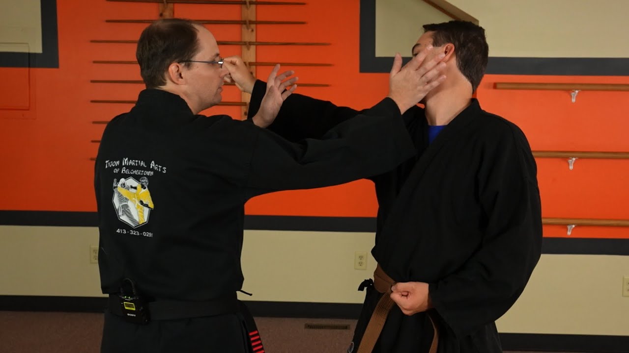 Brown Belt Combination- Tigon Martial Arts