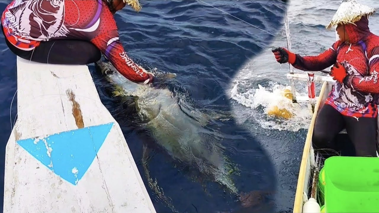 Mancing ikan tuna. 10 detik setelah umpan di turunkan. Langsung di sambar Monster tuna.
