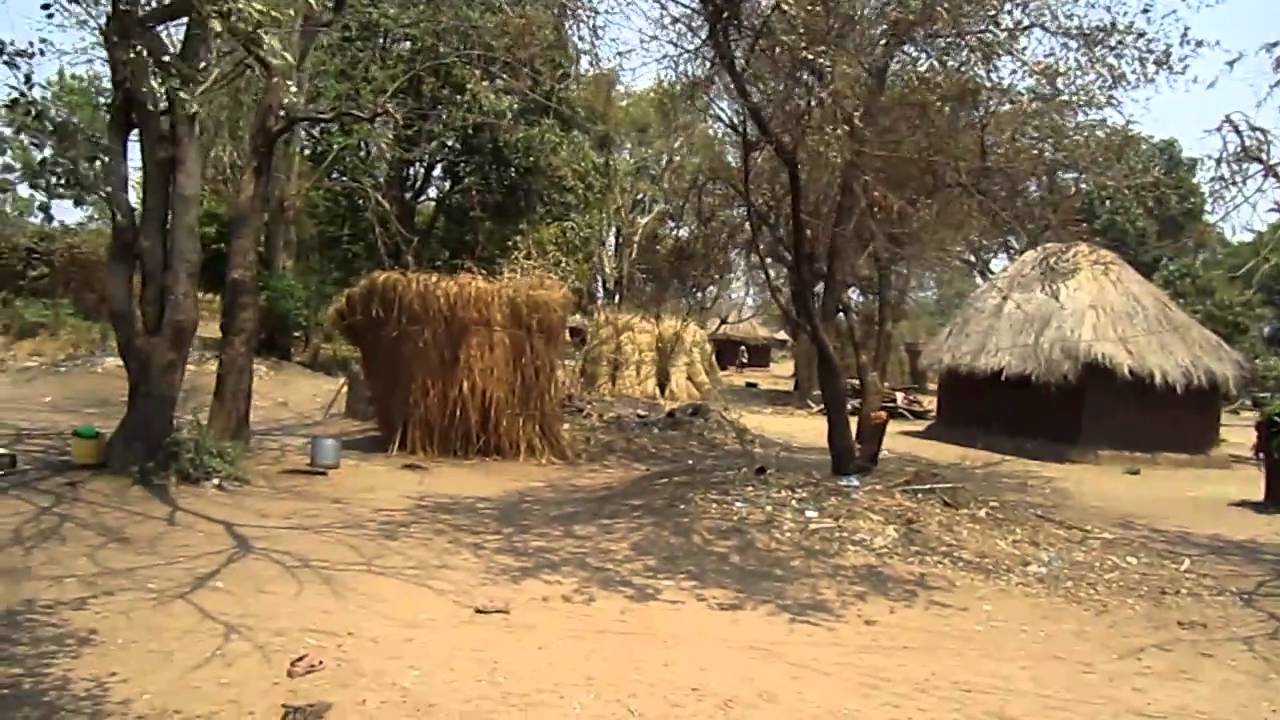A WALK THROUGH THE VILLAGE IN MFUWE, ZAMBIA (Africa).MOV