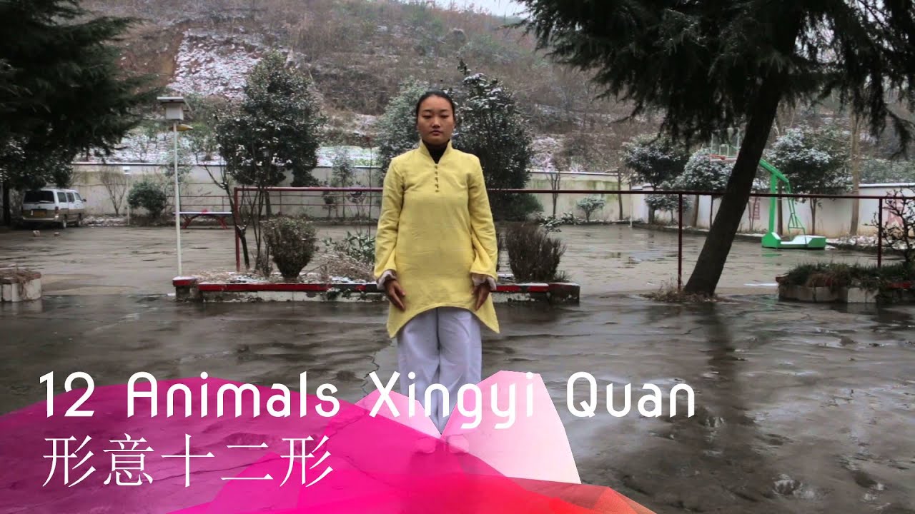 12 Animals Xingyi - Wudang Dragongate Kungfu School
