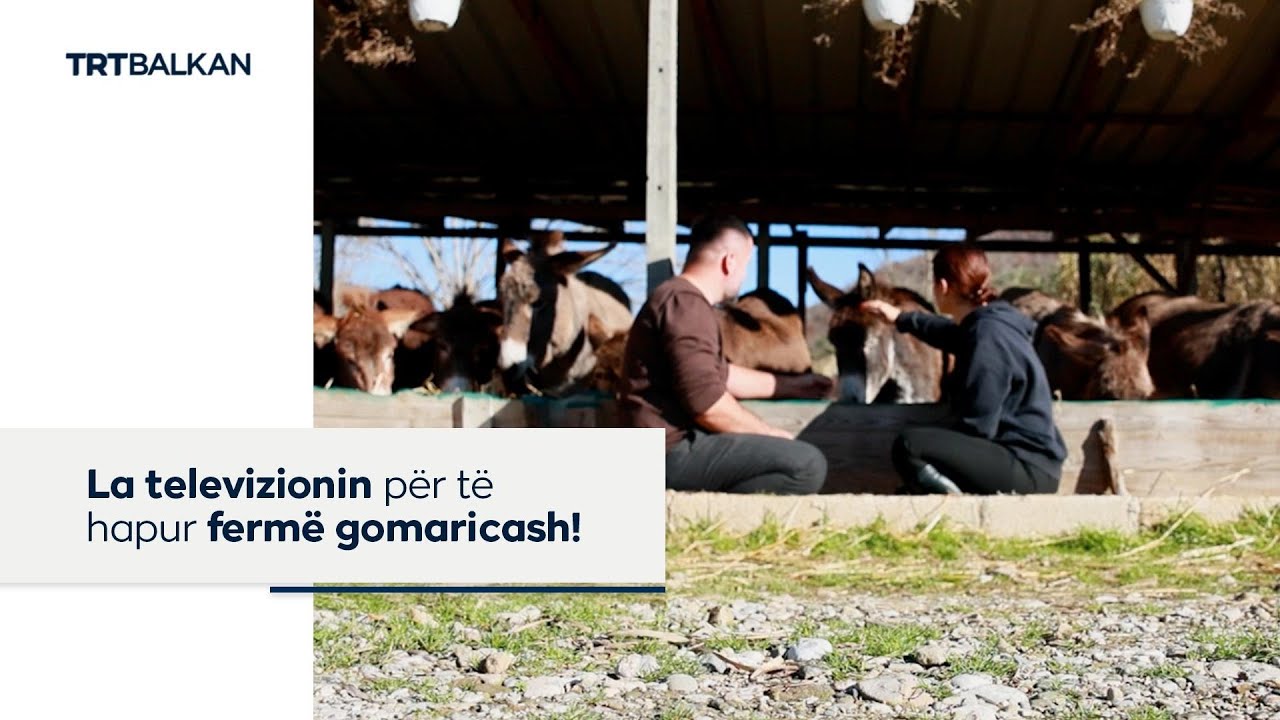La televizionin p&euml;r t&euml; hapur ferm&euml; gomaricash!