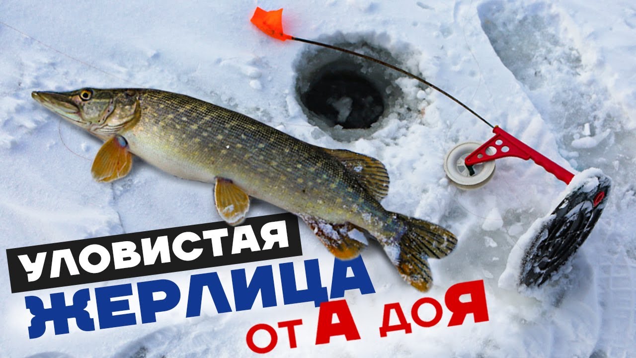 Как собрать ЖЕРЛИЦУ для ловли Щуки! Настраиваем жерлицу от А до Я!