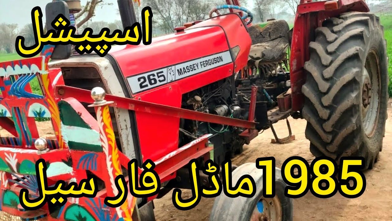 MF 265 Special Model 1985 for sale//Layyah Tractors