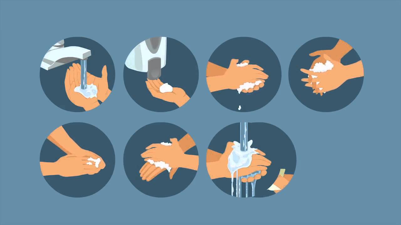 Noroviruses and Handwashing