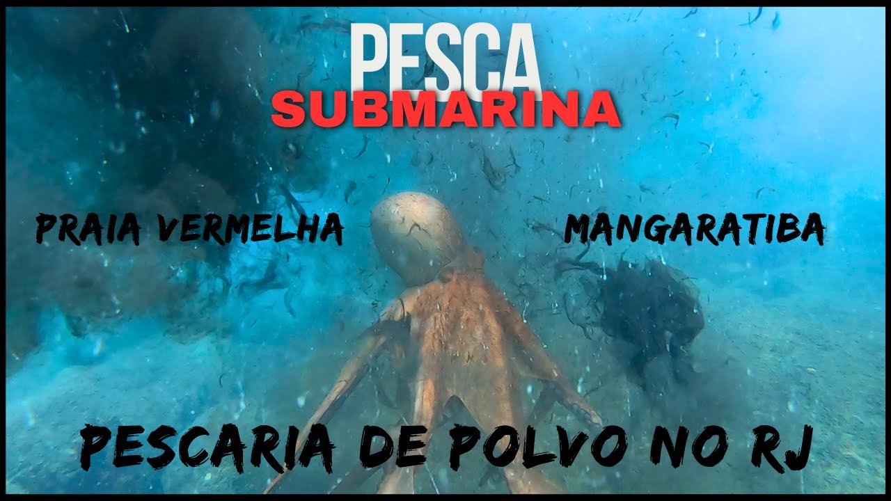 PESCASUB | SPEARFISHING - Pescaria de Polvo no RJ - Praia Vermelha e Mangaratiba