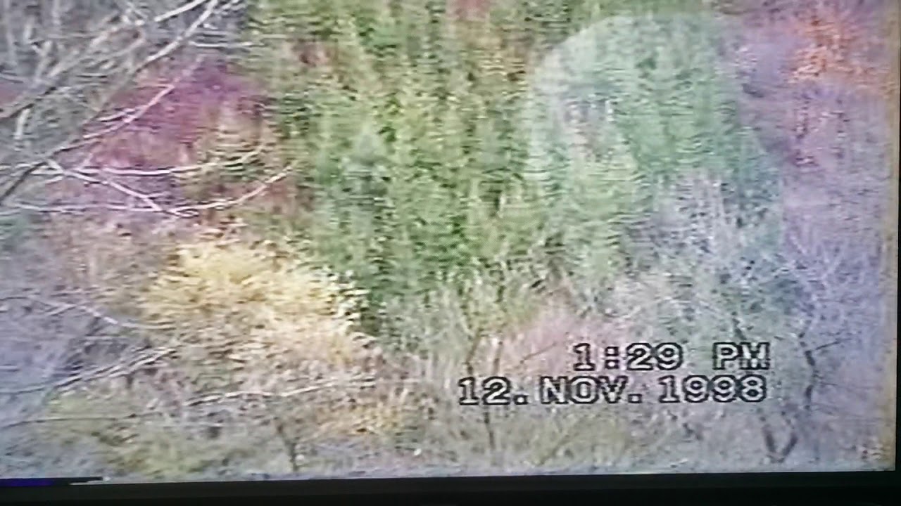 Orčevići/Željezno Polje 1998