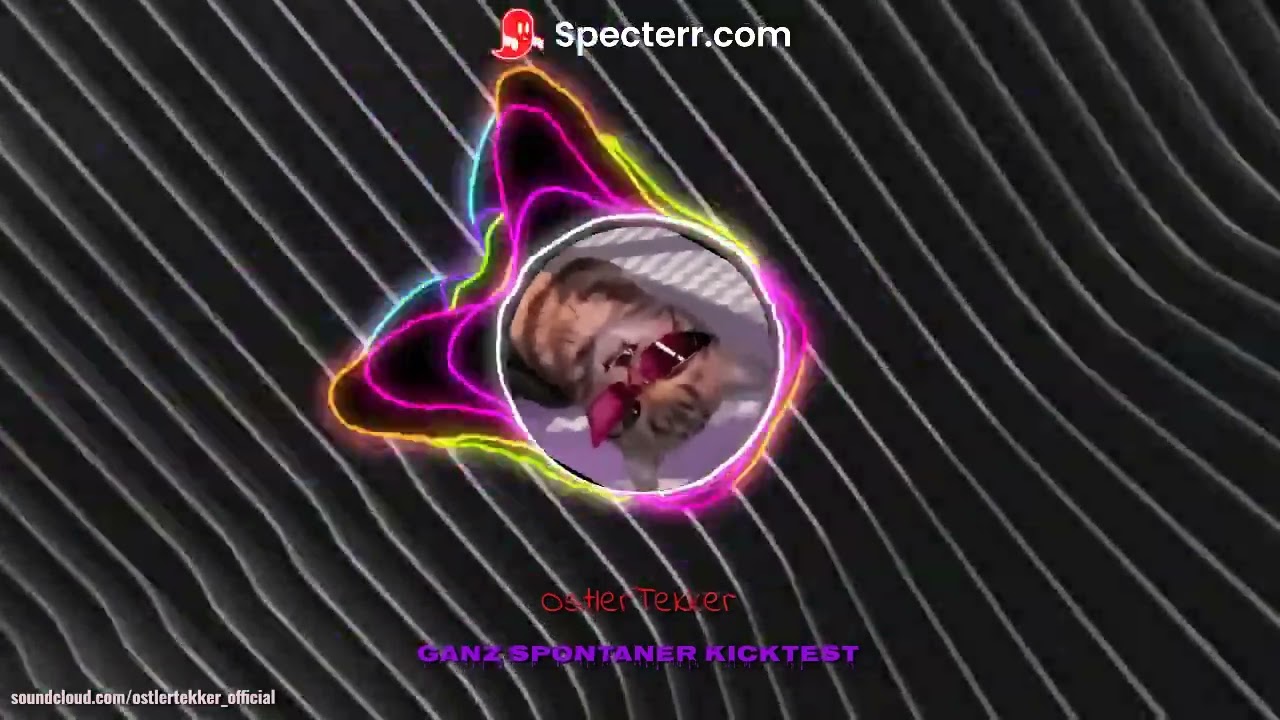 GaNz SpoNtAnEr KiCkTeSt