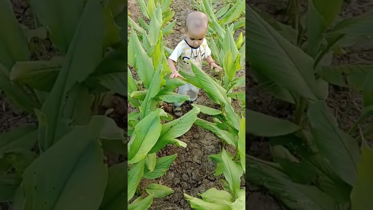 Ramaiya vastavaiya #parassinghvlogs #masti #baby #funny #desi #cutebaby