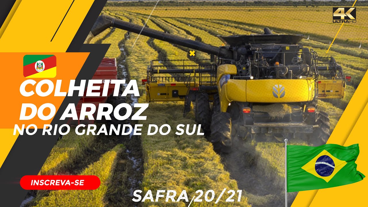 Colheita do Arroz no RS - Rice Harvest Brazil (ASMR) - New Holland - 4K ULTRA