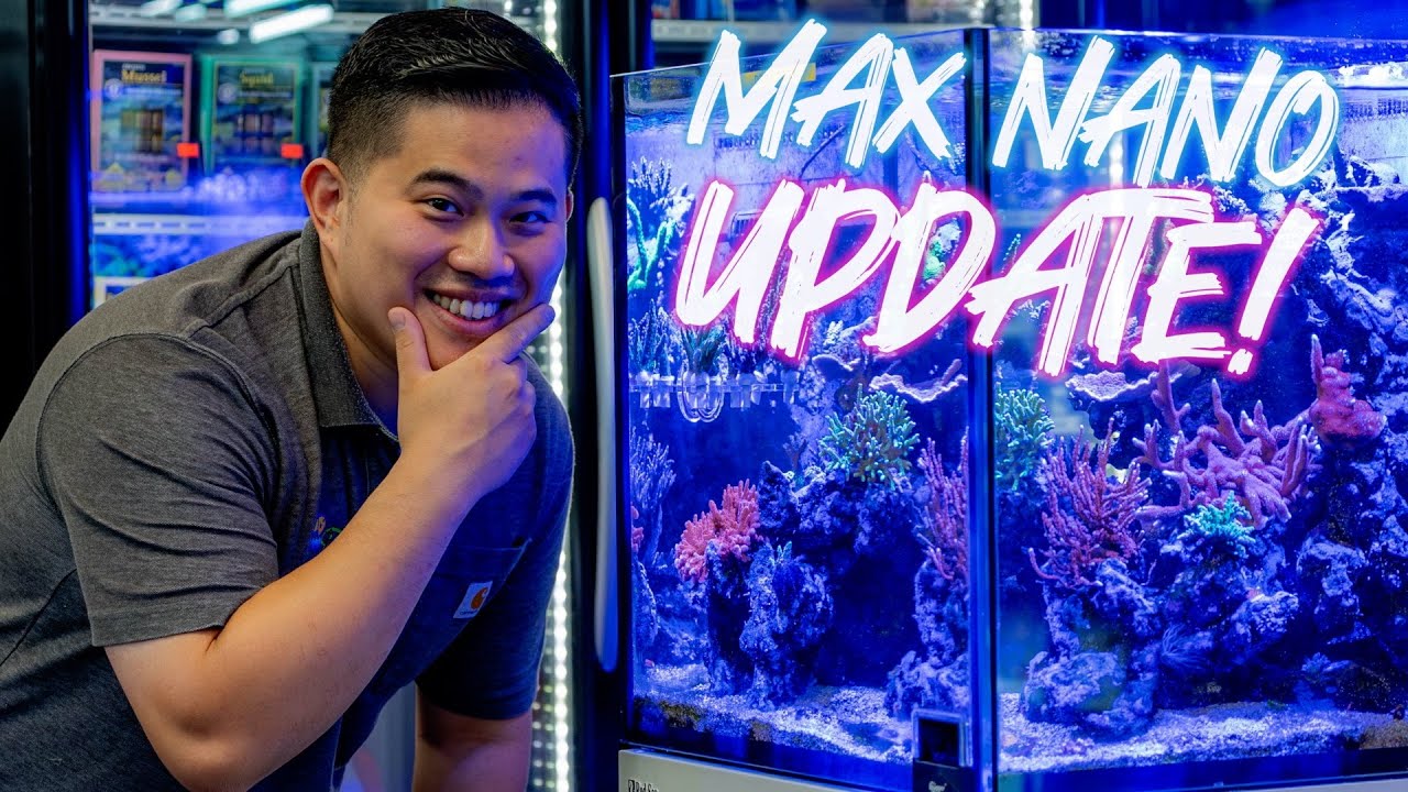 RED SEA MAX NANO G2 XL UPDATE  | AQUA READY FRAG RACK | CORAL HUB US