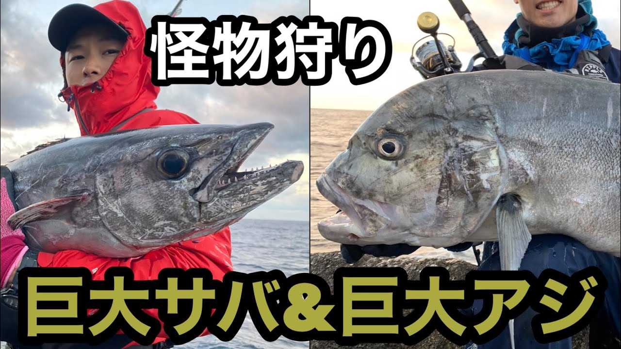 【浪人鯵】地磯からのGT釣り【イソマグロ】#gianttrevally #ロックショア