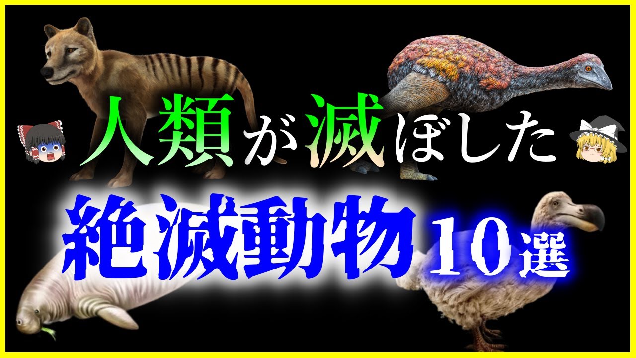 【ゆっくり解説】絶滅理由＝人間⁉有史以後の「絶滅動物」10選を解説/近現代に絶滅した特徴的な生物たち