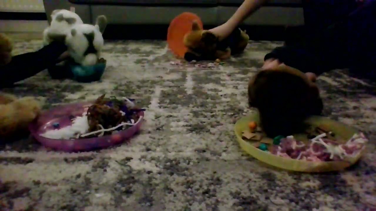 Feed and special guest vlog