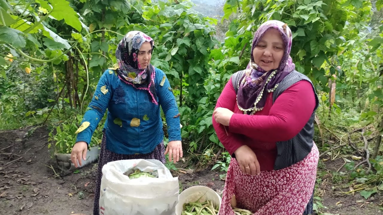 SUNAYLA FASULYELERİ TOPLAMAYA DOYAMADIK 😍😍