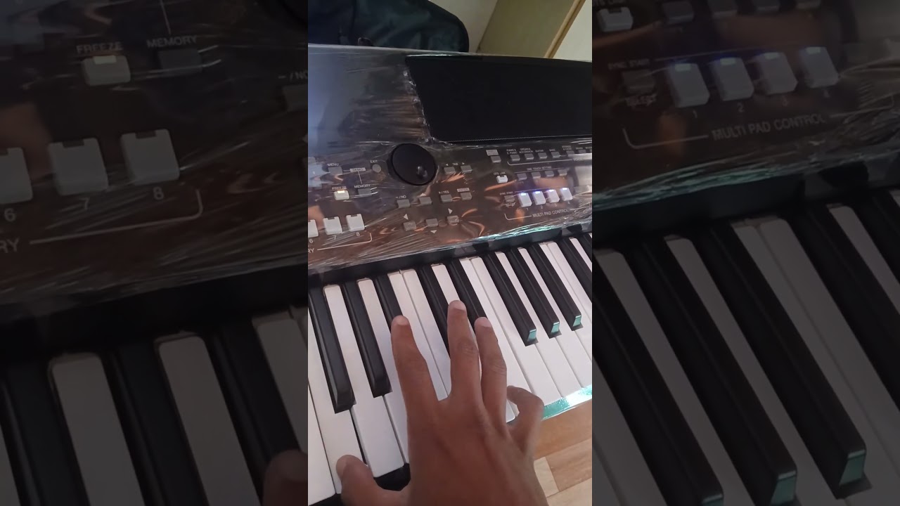 Solos de Vaquejada🎹💥