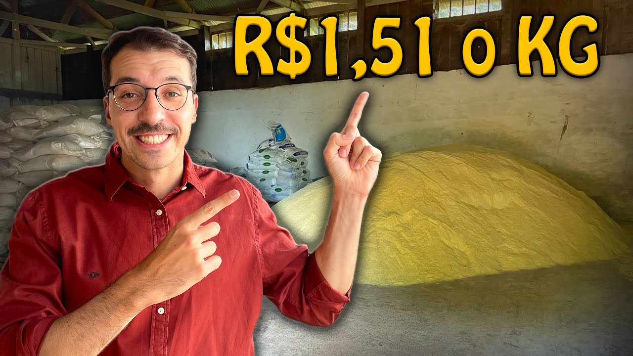 RAÇÃO DE BAIXO CONSUMO PARA MANTER O GADO NO INVERNO!
