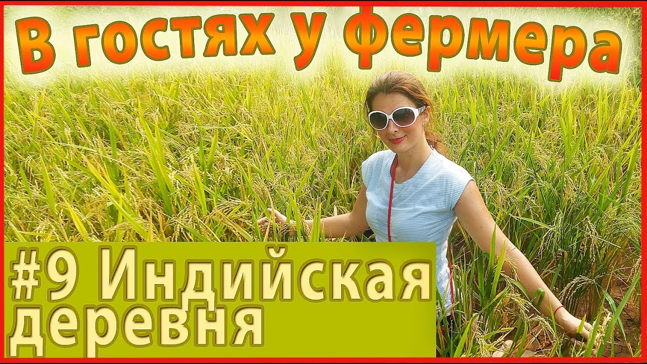 Индийская деревня 9. СЕМЕЙСТВО МОЛОЧНИКА ИЗ КАСТЫ ОХОТНИКОВ. Вода из колодца, ходят по навозу.
