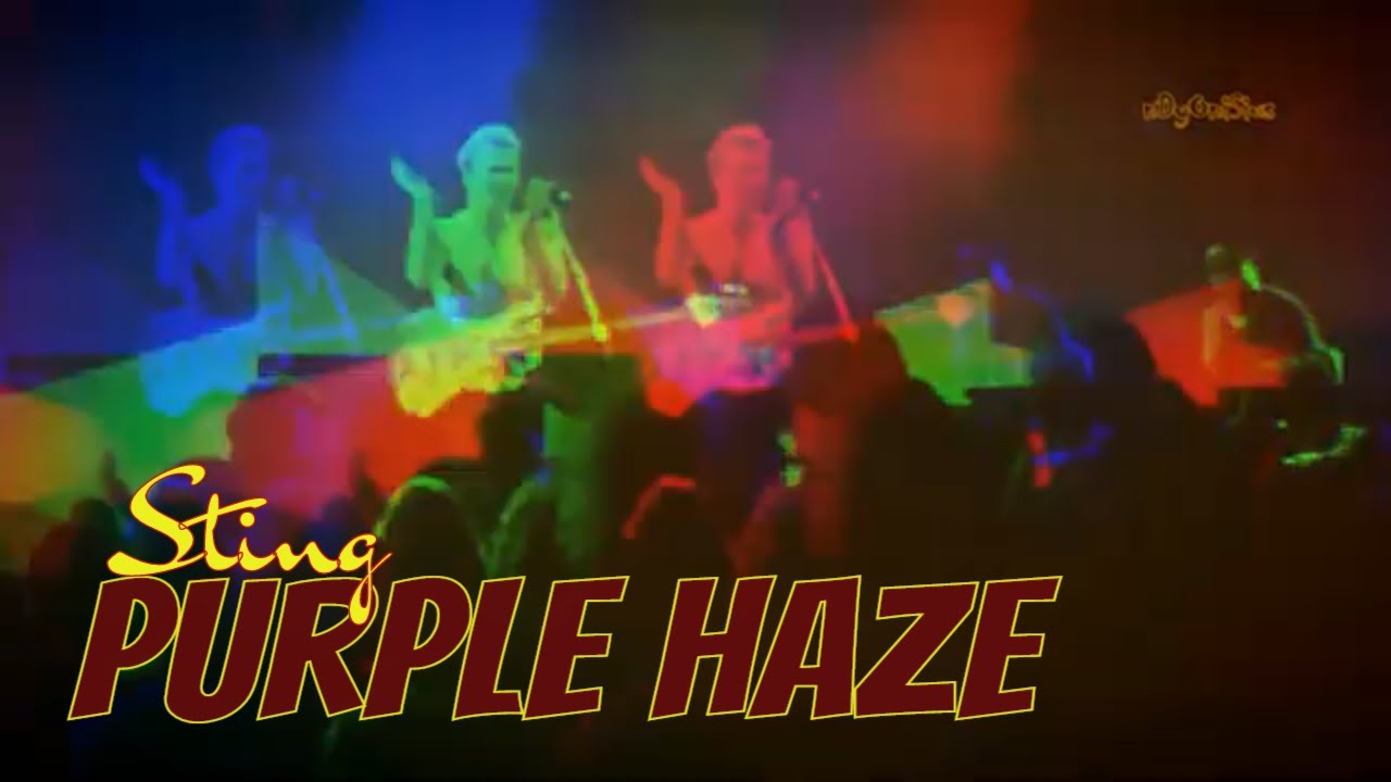 STING -  Purple Haze