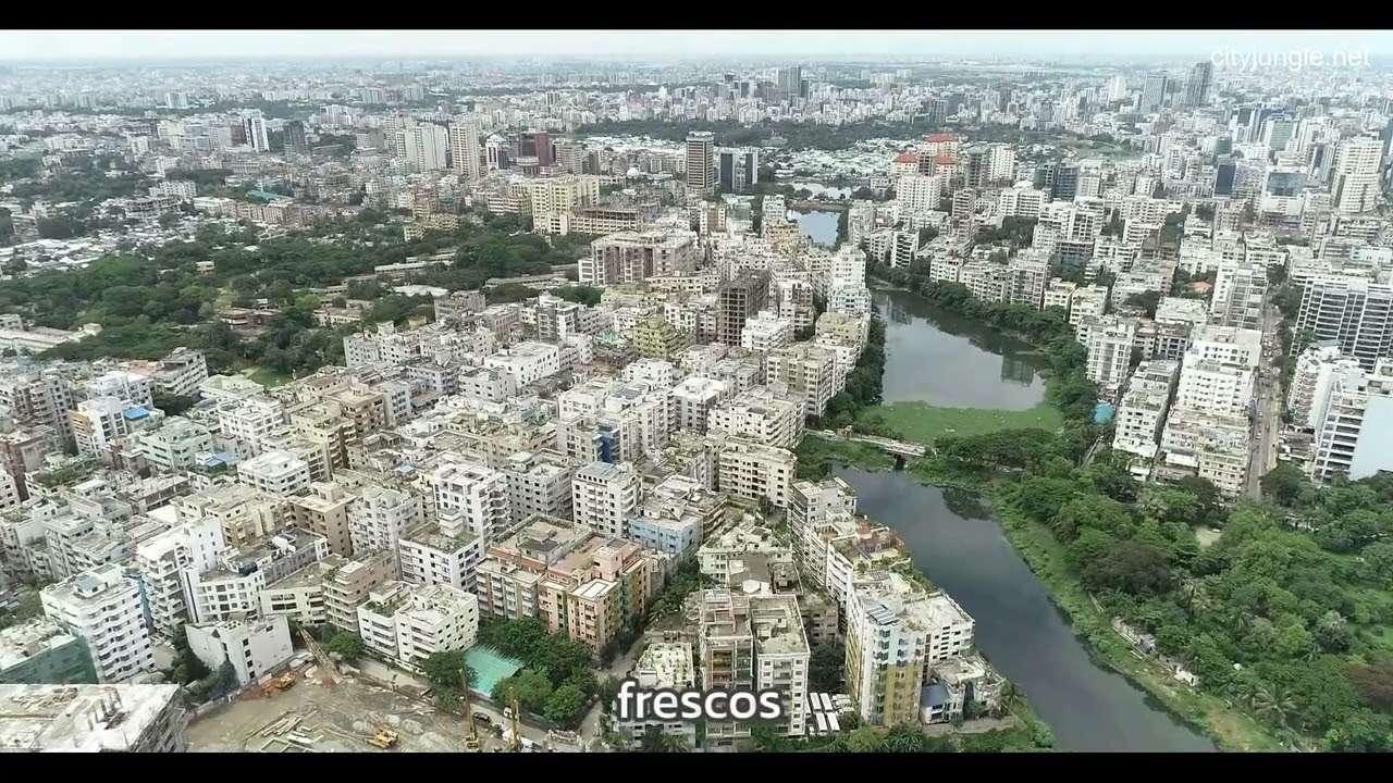 Huertos Comunitarios Urbanos_ Transformando Ciudades en Oasis Sostenibles.